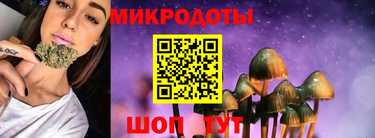 Галлюциногенные грибы Psilocybe Верхний Уфалей
